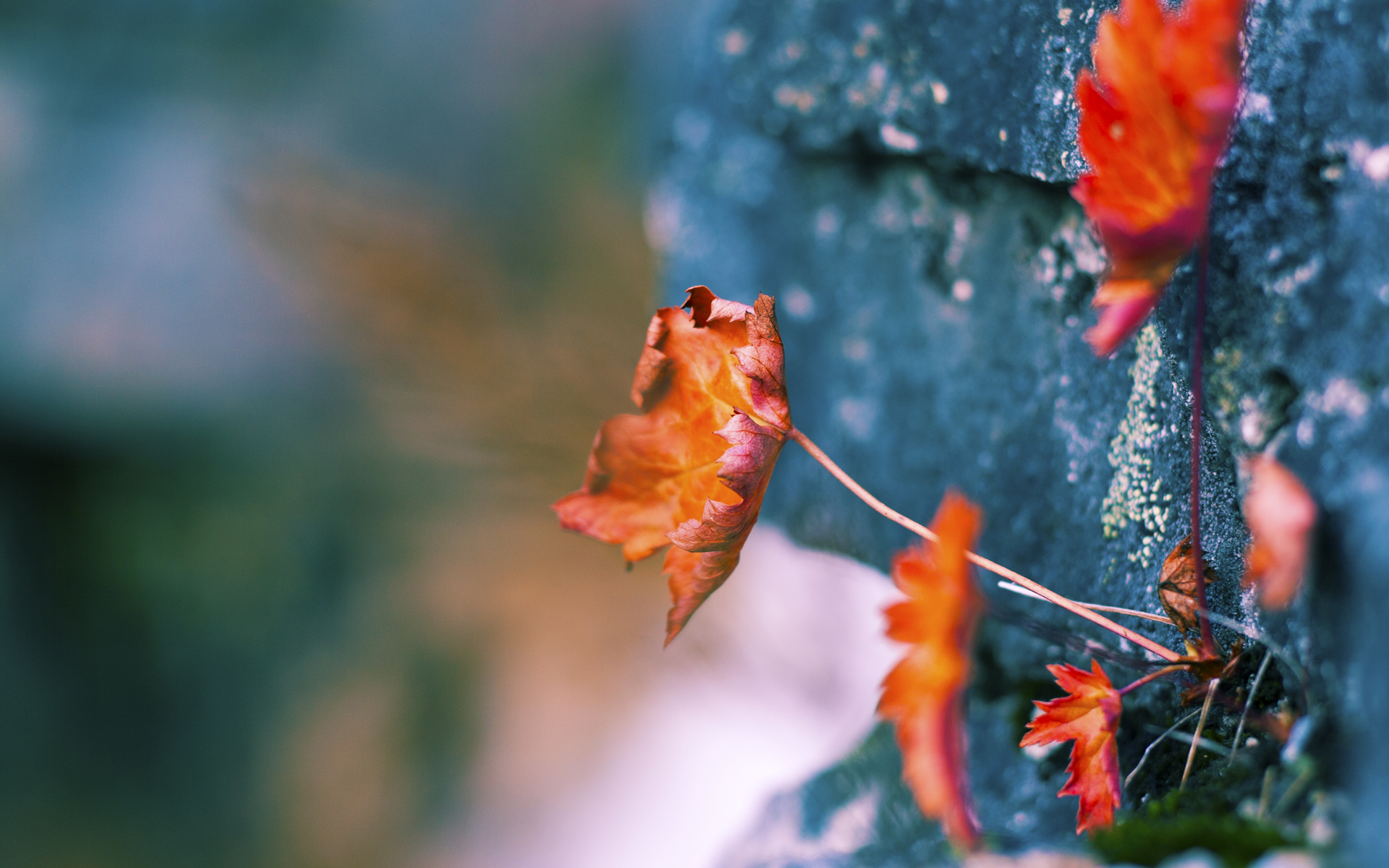 Kaiyun官方登录入口-_未来运动：脑波控制系统助力训练_，脑波训练是真是假