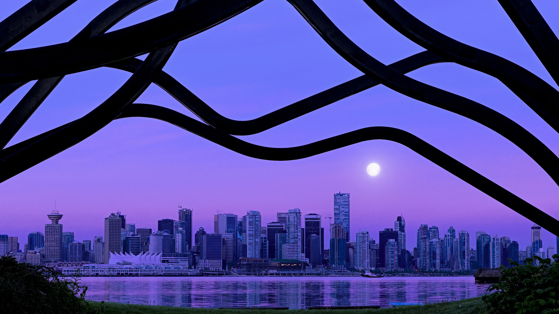 开云·体育官网APP下载-_未知探险运动：勇者的荒野追逐_，探索未知的勇气例子