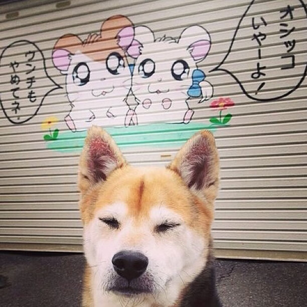 一战成名！年轻球员成为欧冠焦点，年轻人欧冠战绩