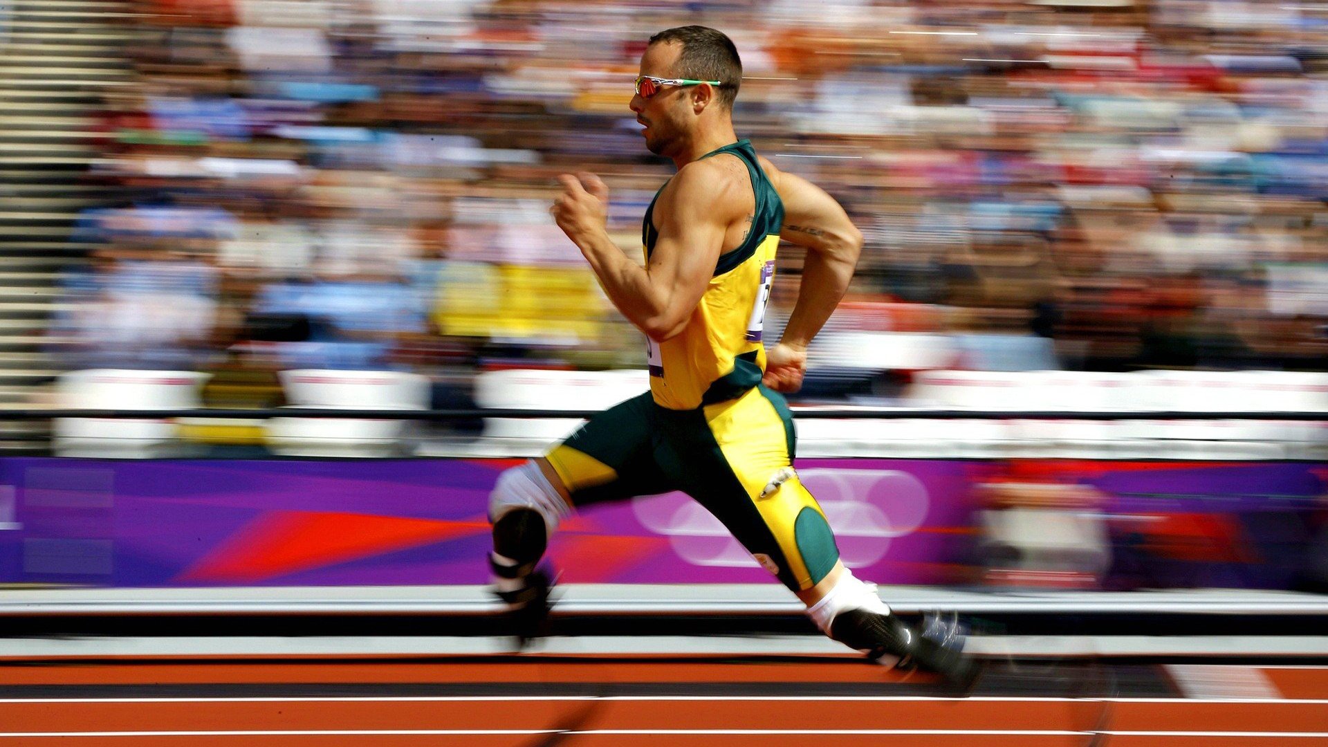 跳水名将陈艺文再创佳绩，陈艺文夺3米板金牌